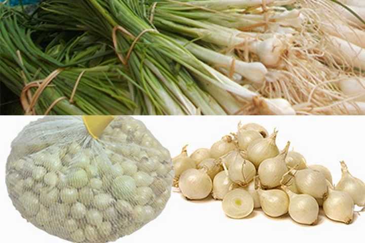 Bảo quản nơi có điều kiện lí tưởng